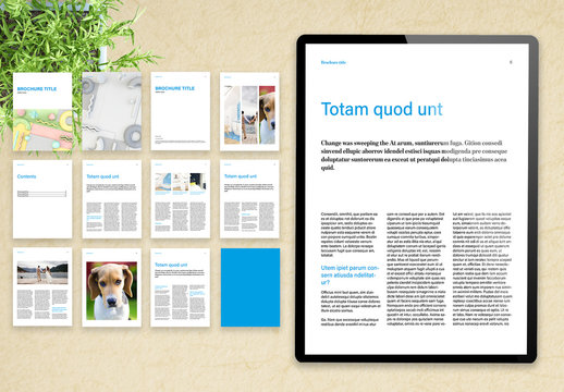 Basic Digital Magazine Layout with Blue Accents