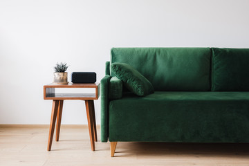 green sofa with pillow and wooden coffee table with plant and alarm clock