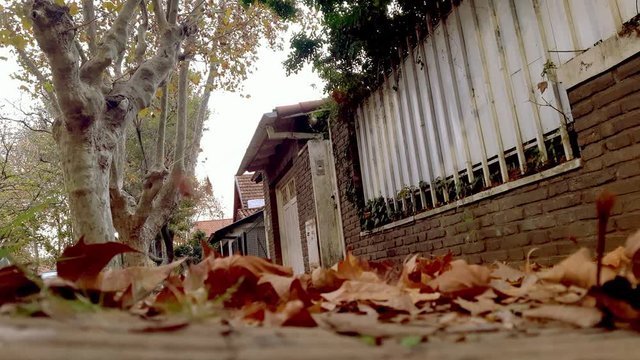 Sidewalk Without People With Dry Leaves In Autumn With Low Angle View