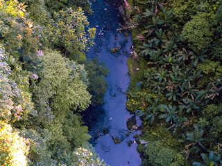 River among the greenery in the jungle. View from above