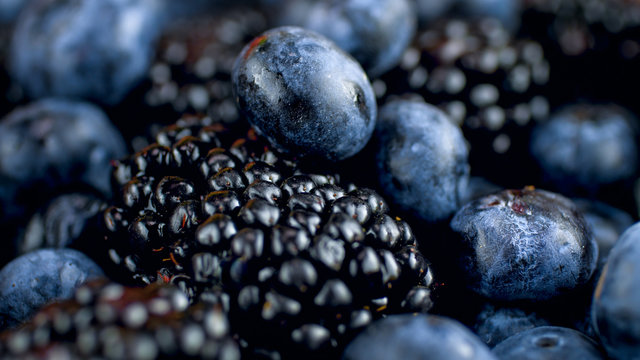 Macro image of blueberries, currant and blackberries. Abstract backgorund of fresh berries
