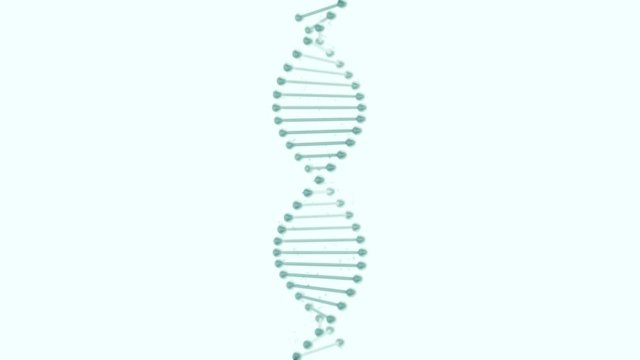 Realistic dna double hellix spinning on a light blue background.