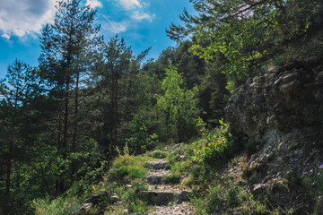 Fototapeta na wymiar A picturesque view of a hiking path with stone stairway in the French Alps mountains on a sunny day (Touet-sur-Var, Alpes-Maritimes, Provence, France)