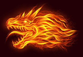 Fototapeta premium Fire head of dragon