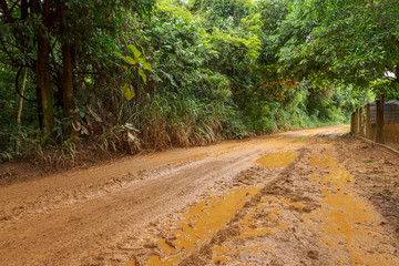 Estrada rural com muita lama, depois de chuva intensa, em área do município de Guarani, Minas Gerais