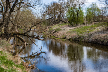 Fototapeta na wymiar The sky is reflected in the spring river