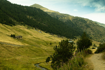 mountain landscape, green meadows, trails