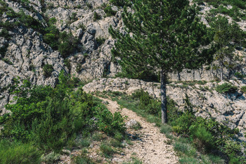 Fototapeta na wymiar A picturesque view of a hiking path in the French Alps mountains on a sunny summer day (Puget-Theniers, Alpes-Maritimes, Provence, France)