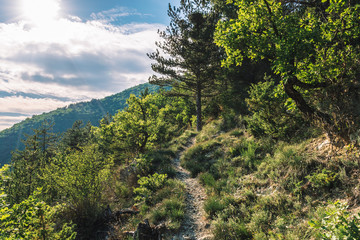 A picturesque view of a hiking path in a forest in the Alps mountains illuminated by warm evening sunlight (Puget-Theniers, Alpes-Maritimes, France)