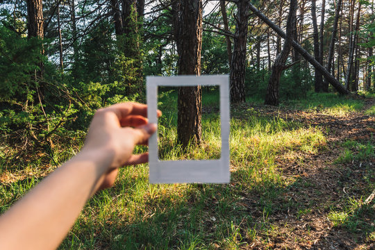 A close-up shot of an unrecognizable young Caucasian woman’s hand holding a frame in a pine forest illuminated by warm evening sunlight (Puget-Theniers, Alpes-Maritimes, France)