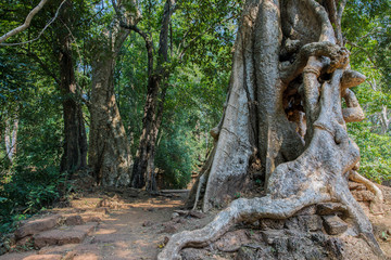 Baphuon Temple,Siem Reap, Cambodia.