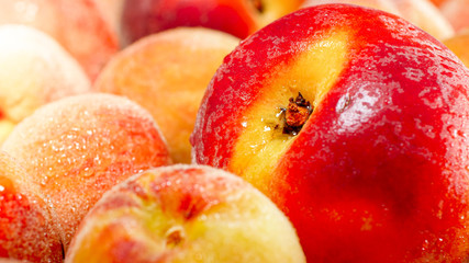 CLoseup photo of big heap of wet cripe peaches and apricots. Abstract background of seasonal fruits