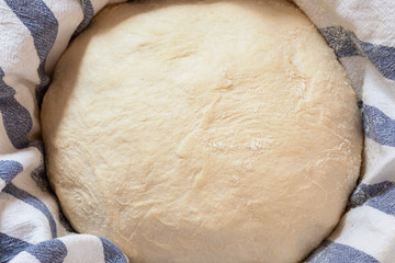 Leavened pizza dough ready to be rolled out.