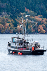 fishing boat in the sea