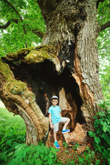 Naklejka na ściany i meble Boy standing near a big hollow oak tree. Family walking in national park. Big millennial oak tree.