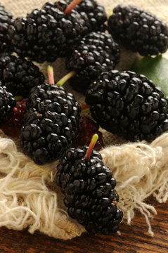 More di gelso ft0205_7283 Moras de morera