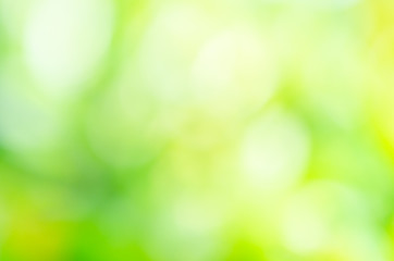 Obraz premium closeup green plant leaf nature fresh abstract greenery blur bokeh background with copy space in garden use for backdrop or wallpaper.