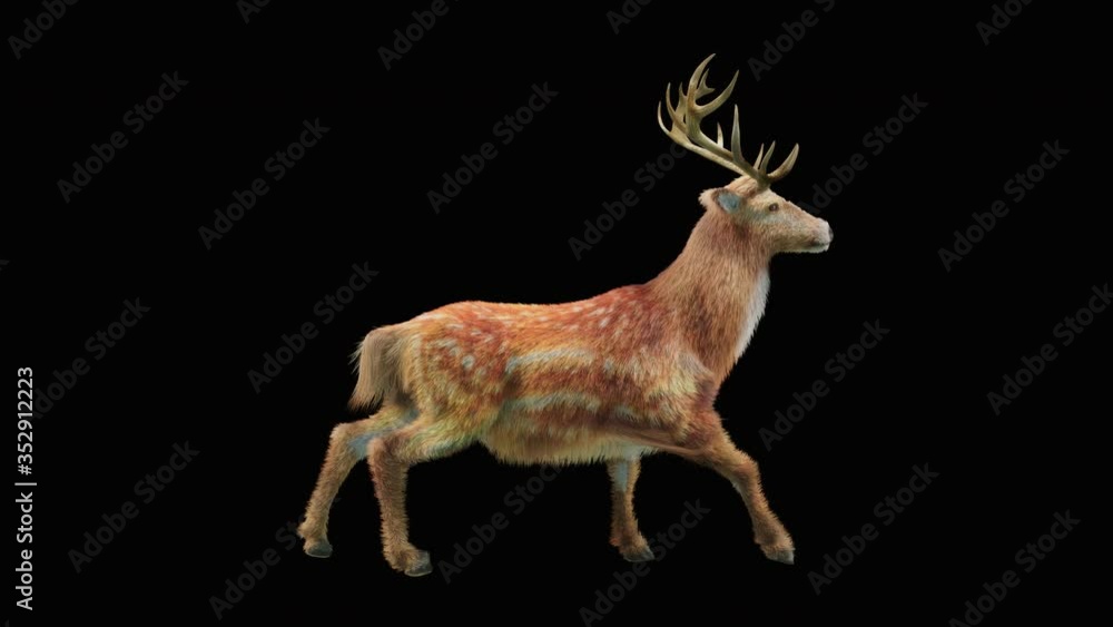 Poster deer run cg fur 3d rendering animal realistic cgi vfx animation loop composition 3d mapping cartoon,