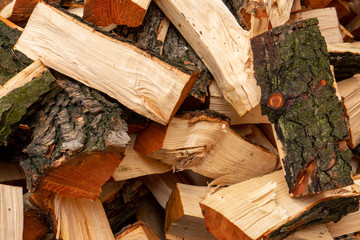 Stacked Chopped Alnus Firewood on Pile, Pile of broken twigs. Twig texture background. Pile of pieces of twig