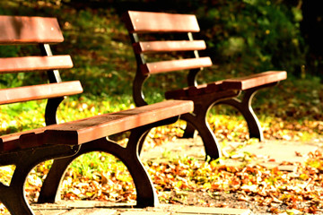 Two benches on the walking circuit of the spa town of Jesen ik, famous for its hydrotherapy methods...