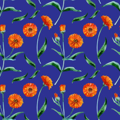 Calendula flowers on a blue background. Healing wild herbs seamless pattern design for wallpaper, paper, textile, fabric.
