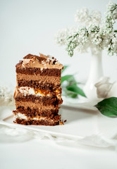 Chocolate cake decorated with various cookies and nuts on a glass plate and macaroons among white flowers of lilac and green leaves. Food photography. Advertising and commercial close up design.