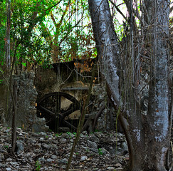 Wilderness beginning to reclaim abandoned hacienda, once used for the processing of sugar cane, near Campeche Mexico,