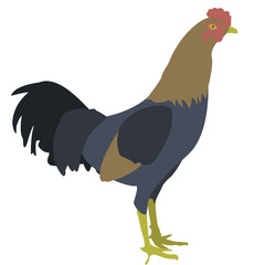 にわとりのイラスト素材