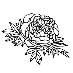 Vector illustration. Hand drawing peony. Coloring page. Bud with leaves. Botanical illustration. Beautiful flower.