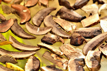 Chopped mushrooms ready for drying. Close-up.