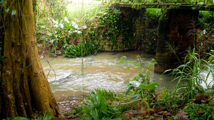 Old stone bridge over small river in tropical jungle forest on exotic esland
