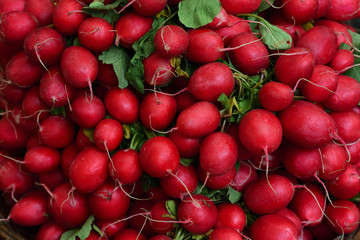 Many small red radishes are for sale in Bavaria on the market