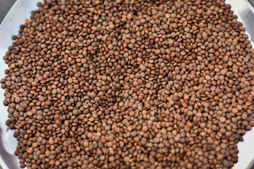 close up of a indian most conman daal on silver plate, Indian Traditional Food