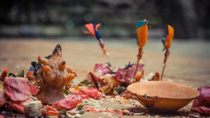 Colourful leaves and sticks on the ground