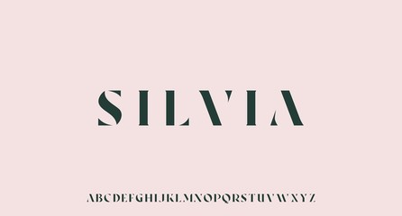 SILVIA, THE LUXURY ALPHABET FONT VECTOR SET