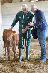 Breeder meeting with financial advisor in barn