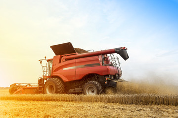 Harvester is working during harvest time in the farmer’s fields, machine is cutting grain plants...