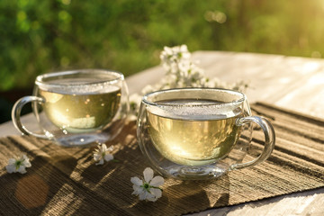 Two beautiful glass cups with green tea decorated with white cherry flowers on wooden table in spring garden in setting sun light. Top view.