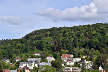 Wohnen am Berg in Freiburg