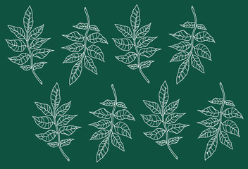 seamless repeating nature pattern of an ash tree branch