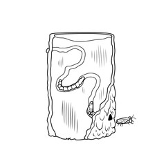 Cross section of an ash tree and the life cycle of the emerald ash borer beetle