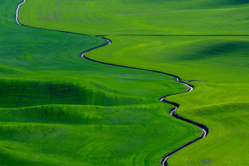 Beautiful green wheat field farmland patterns seen from Steptoe Butte, Washington. High above the Palouse in eastern Washington this viewpoint offers unparalleled views of a truly unique landscape. © Myk Crawford
