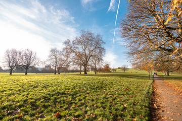 autumn landscape in the city
