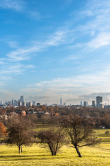 autumn landscape in the city