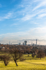 autumn landscape in the city