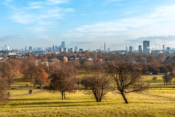 autumn landscape in the city