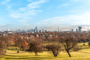 autumn landscape in the city