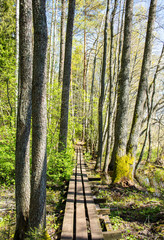 View of the wooden walkway in spring, Karkali Strict Nature Reserve, Lohja, Finland