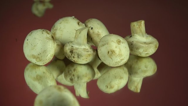 Mushrooms falling and rolling on a table. Slow Motion. Red mirror background