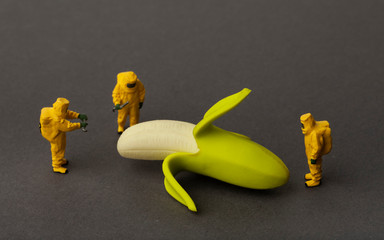 Group of people in protective suit inspecting banana. Macro photography.